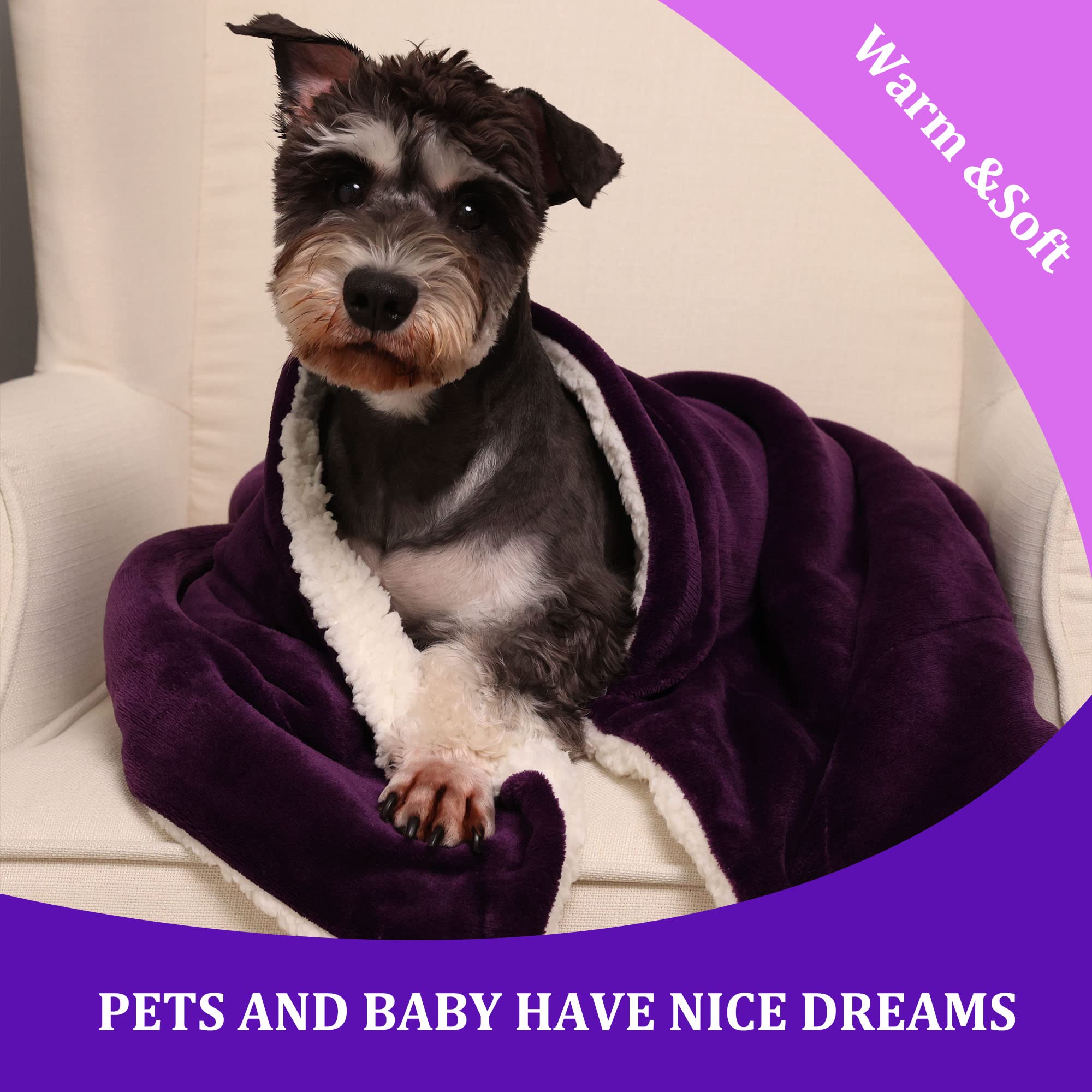 NANPIPER Baby Sherpa Blanket - Ultra Soft Fleece Toddler Throw Blanket for Newborn & Infant - Warm Winter Blanket 30x40 Inches (Purple) - Perfect for Nursery, Stroller, Car Seat & Cuddling