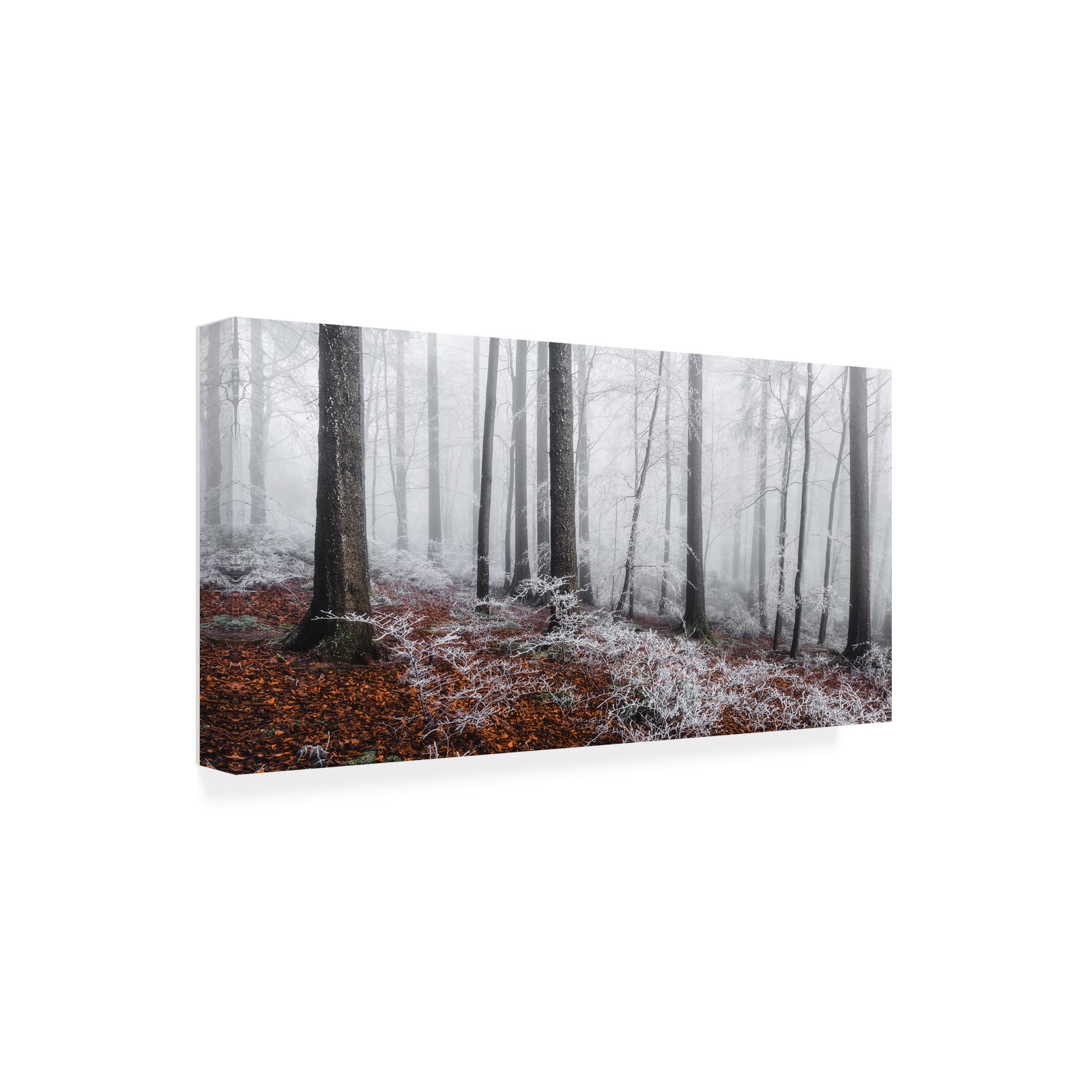 Trademark Fine Art 'Winter Moods' Canvas Art by Burim Muqa – Stunning Winter Landscape Wall Decor for Living Room, Bedroom & Office