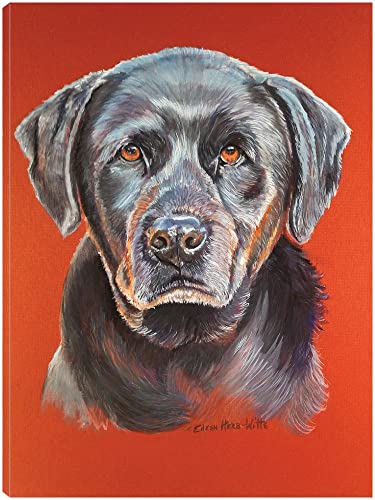 Maggie Black Lab Dog