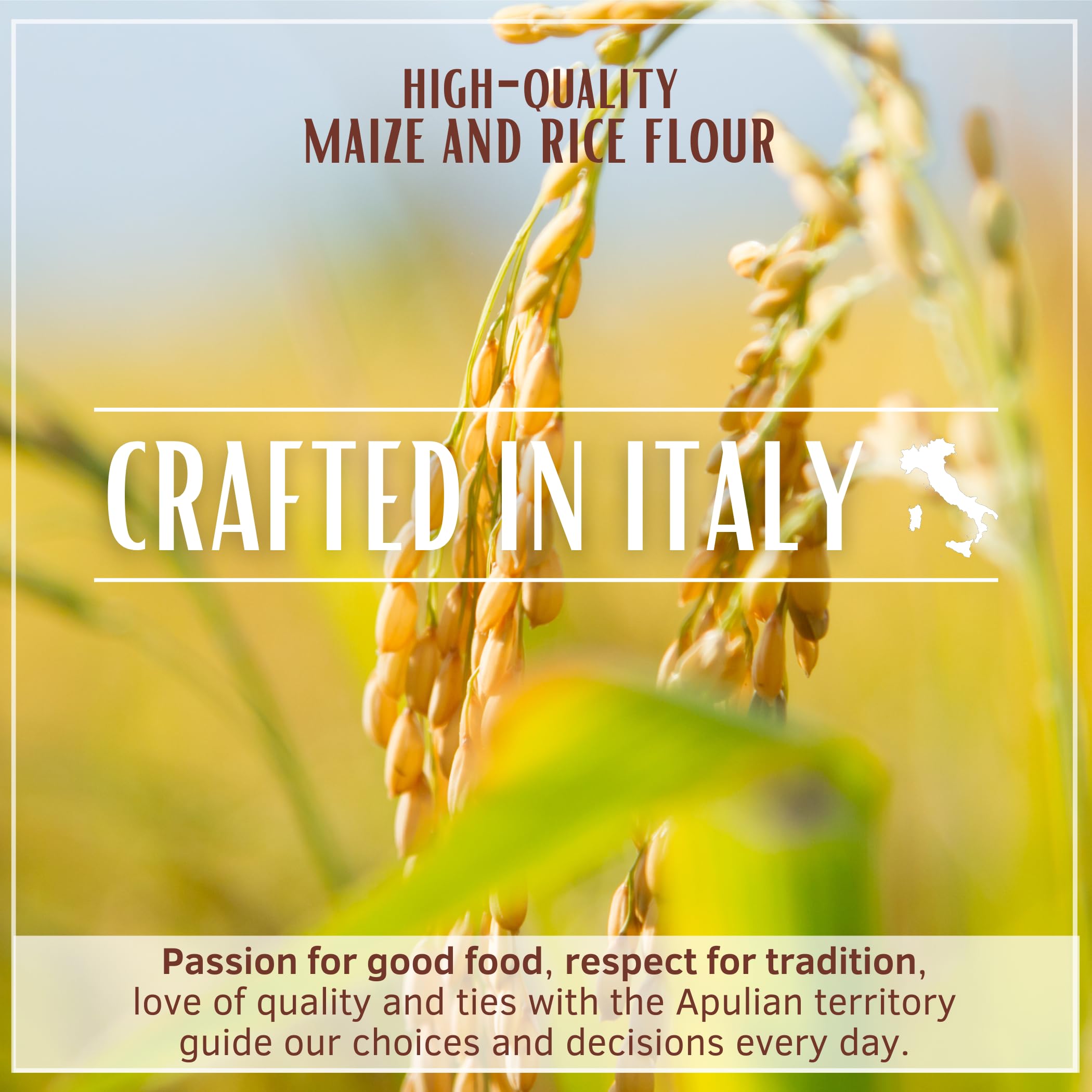 Divella Gluten Free Spaghetti 16 oz (Pack of 3) - Authentic Italian Pasta Made with Maize & Rice Flour, Al Dente Texture - Perfect for Pasta Dishes, Salads, and Family Dinners