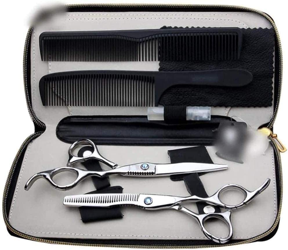 Professional 6-inch Barber Scissors Set - Hairdressing Shears with Flat & Tooth Blades for Precision Hair Cutting - Salon & Home Use (Silver)