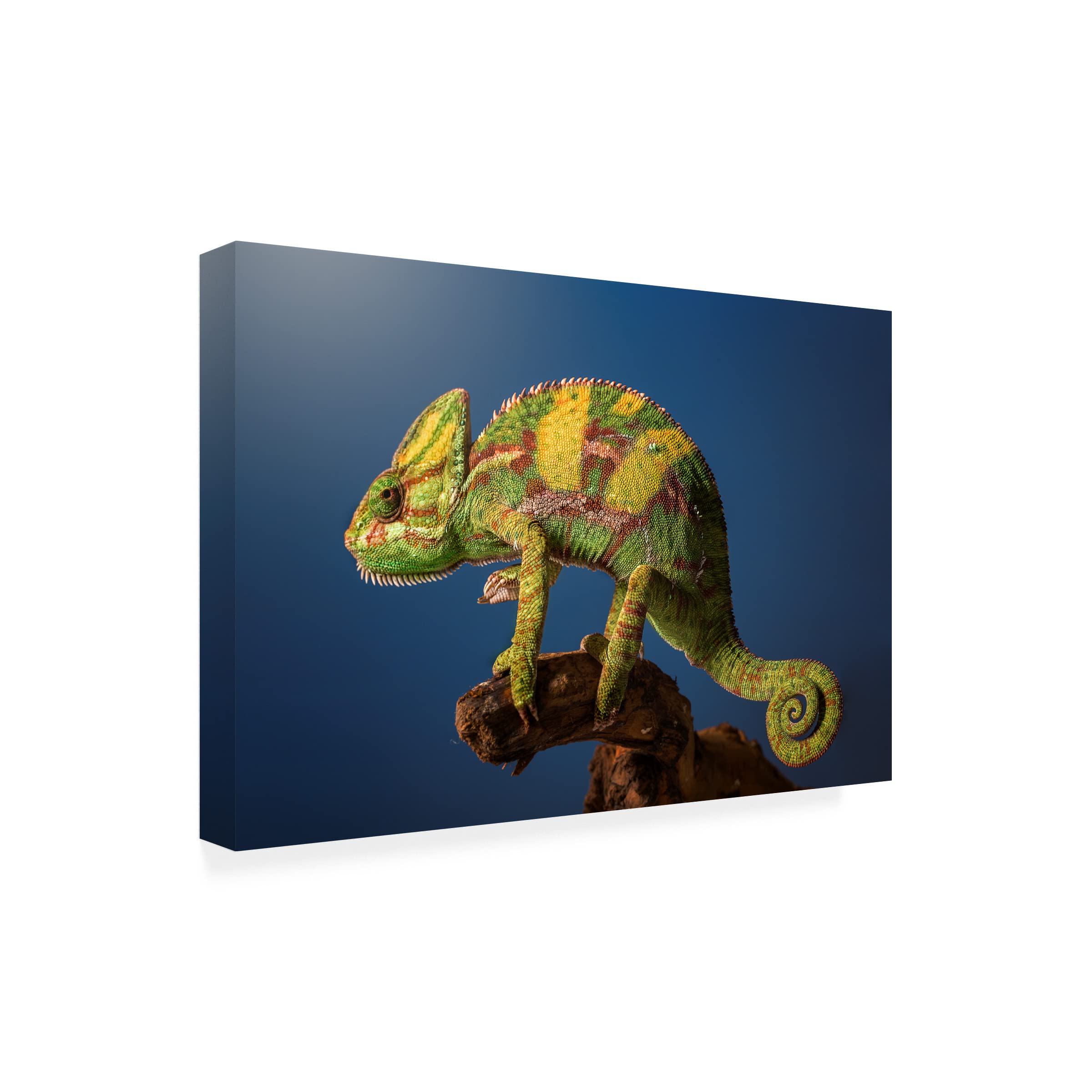 Jose Garcia 'Curro' Canvas Art Print - Handmade Wall Decor for Living Room, Bedroom & Office - Trademark Fine Art Collection