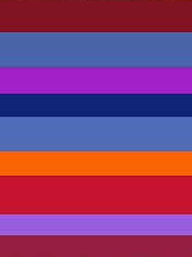 Stripe Multi Color