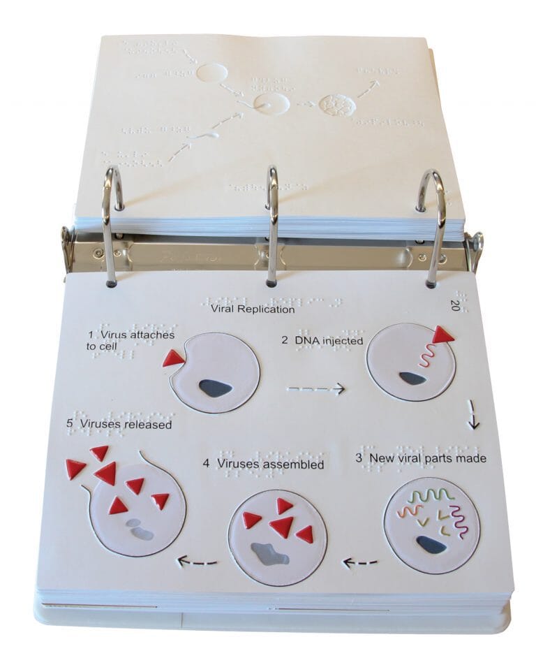 Life Science Tactile Graphics for Blind & Visually Impaired Students - Educational STEM Learning Tools for Biology & Anatomy Classrooms