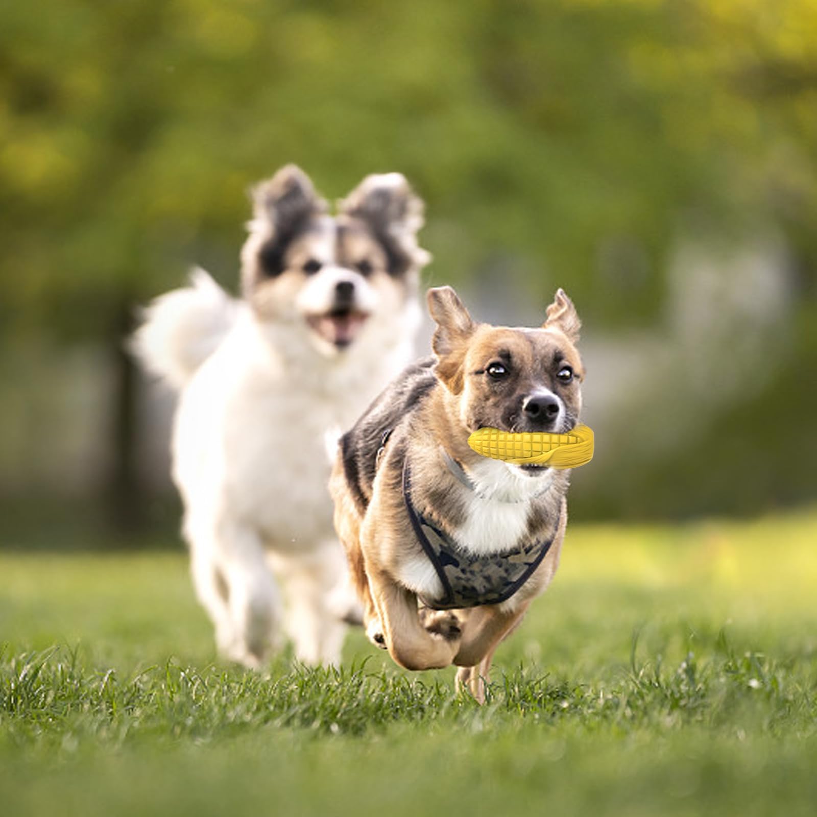 Indestructible Dog Chew Toys for Aggressive Chewers - Durable Squeaky Interactive Corn Stick Toy for Medium & Large Breed Dogs - Teeth Cleaning Chew Toy (Yellow) - Perfect for Playtime, Training & Dental Health