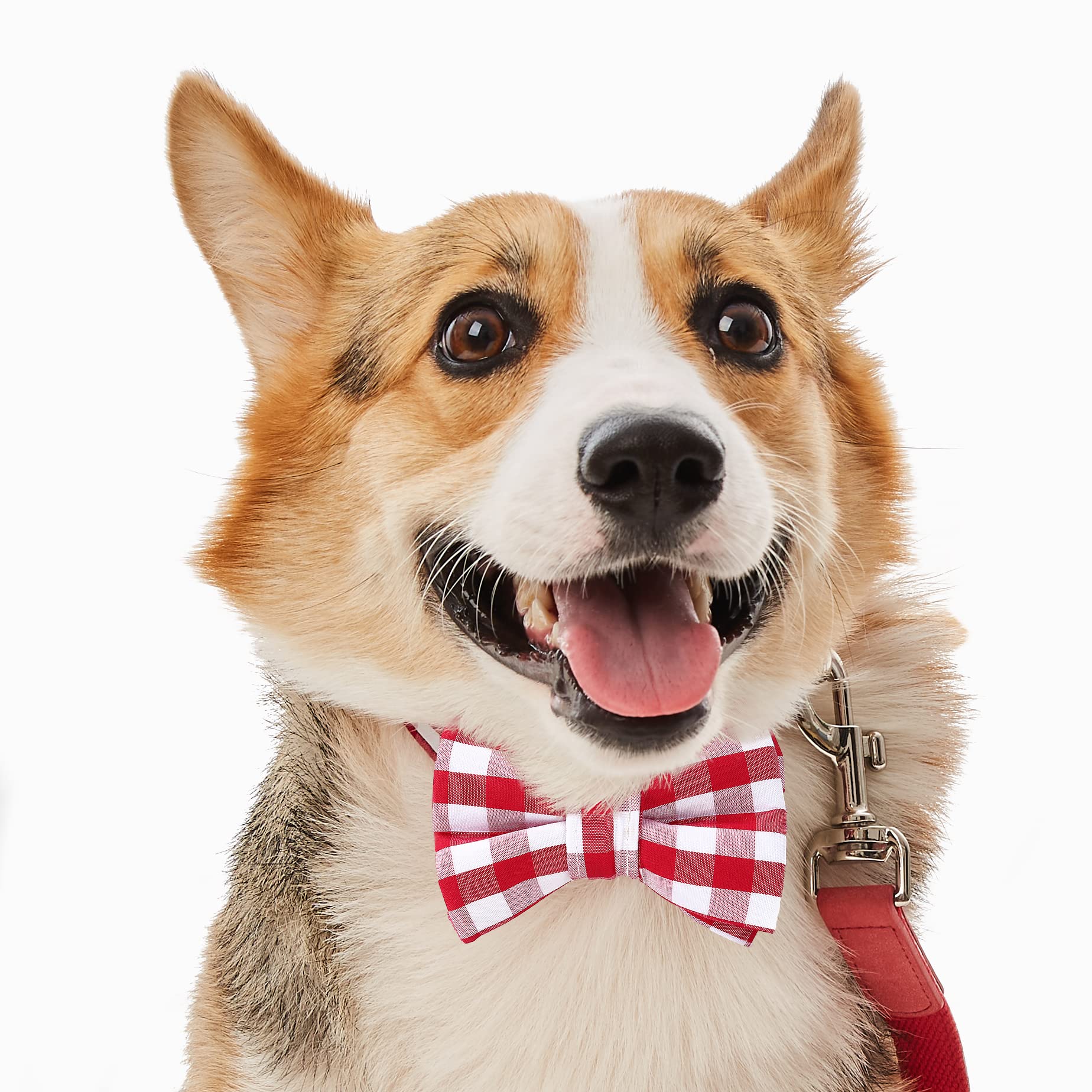 United Pups Red Gingham Plaid Dog Collar with Bow Tie & Leash Set - Adjustable Medium Size for Small to Medium Dogs | Perfect for Holidays, Weddings & Photo Shoots