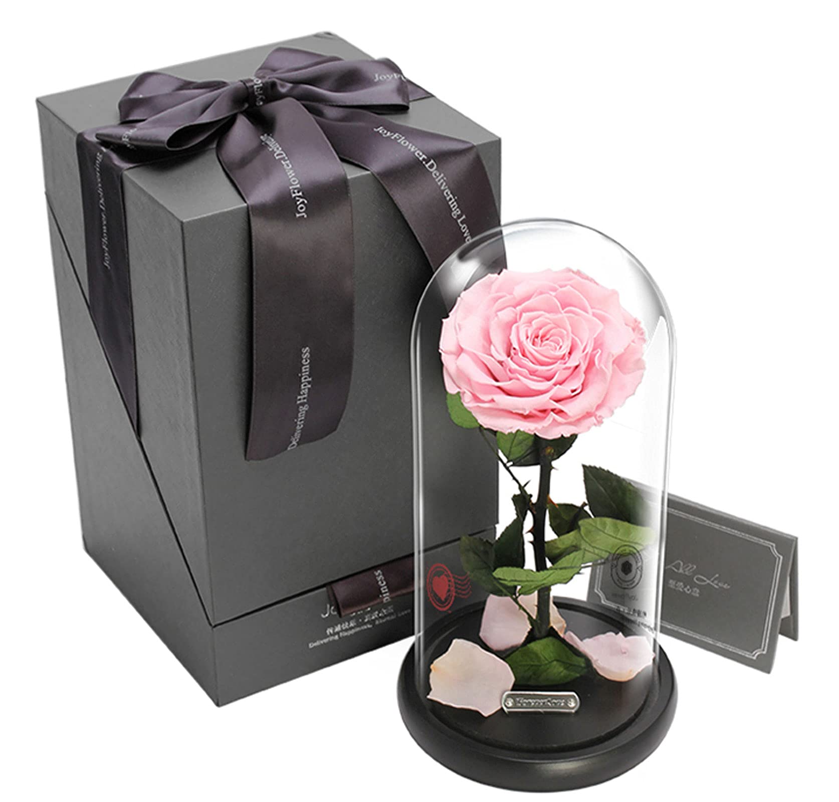 Fresh Rose Petals & Real Flowers That Last - Perfect for Birthday, Mother's Day, Wedding Anniversary & Valentine's Day Gifts | Home Decor & Romantic Presents (Multiple Colors) | Ideal for Wedding Aisle Decor, Table Centerpieces & Surprise Proposals