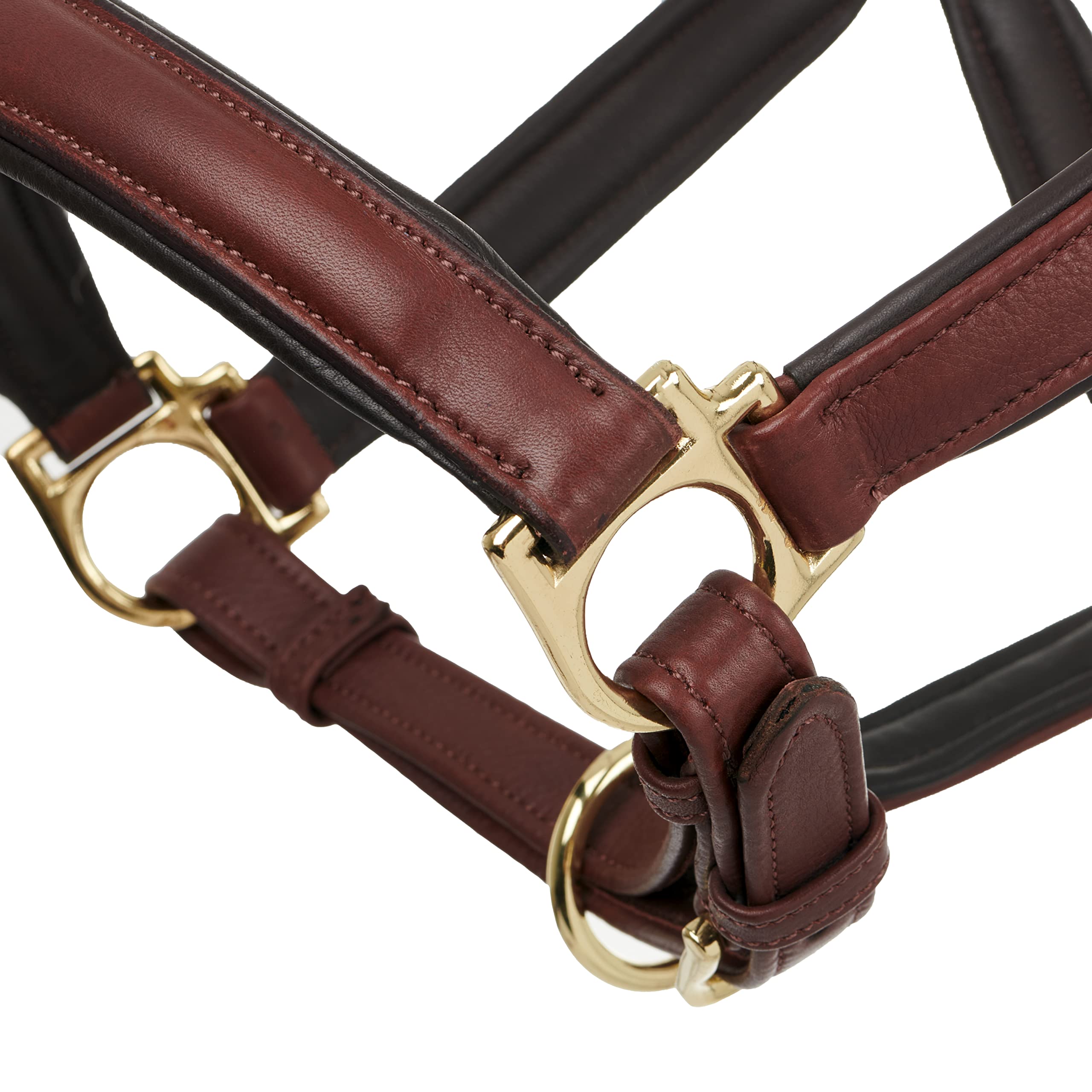 LeMieux Anatomic Padded Leather Horse Headcollar with Metal Fittings - Adjustable Size for Comfort & Control - Perfect for Training, Grooming & Stable Use