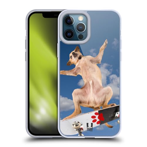 Cool Chihuahua Skater