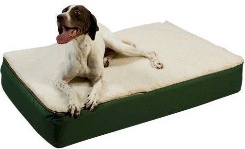 Premium Orthopedic Dog Bed for Large Dogs – Snoozer Super Orthopedic Lounge Pet Bed, Extra Large, Hazelnut with Cream Sherpa – Comfortable Support for Joint Pain Relief, Perfect for Living Room or Bedroom