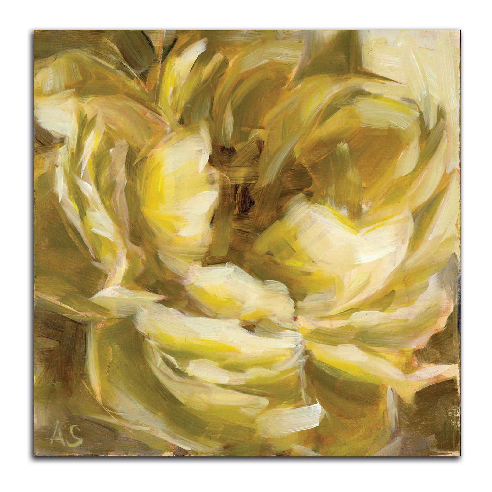 Modern Yellow Peony Art Print by Annie Salness - 16x16 Inch Fine Art Giclee on Paper - Perfect for Home Decor, Office Wall Art & Gift Giving