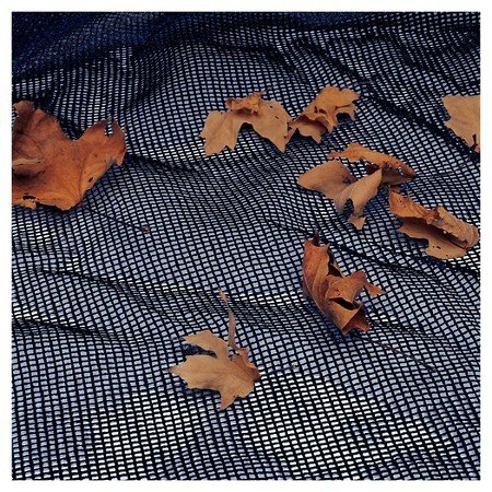Buffalo Blizzard Leaf Net Cover for 20x40 ft Rectangle Swimming Pools - Above Ground & In-Ground Winter Pool Protection | Durable Debris Barrier to Keep Leaves Off Your Pool Cover | Perfect for Fall & Winter Season Pool Maintenance