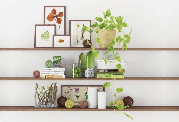 CSFOTO 8x6ft Green Plant Bookcase Backdrop - Modern Office Decor for Video Conferences, Zoom Meetings & Home Studios - Perfect for Virtual Backgrounds, Professional Streaming & Content Creation