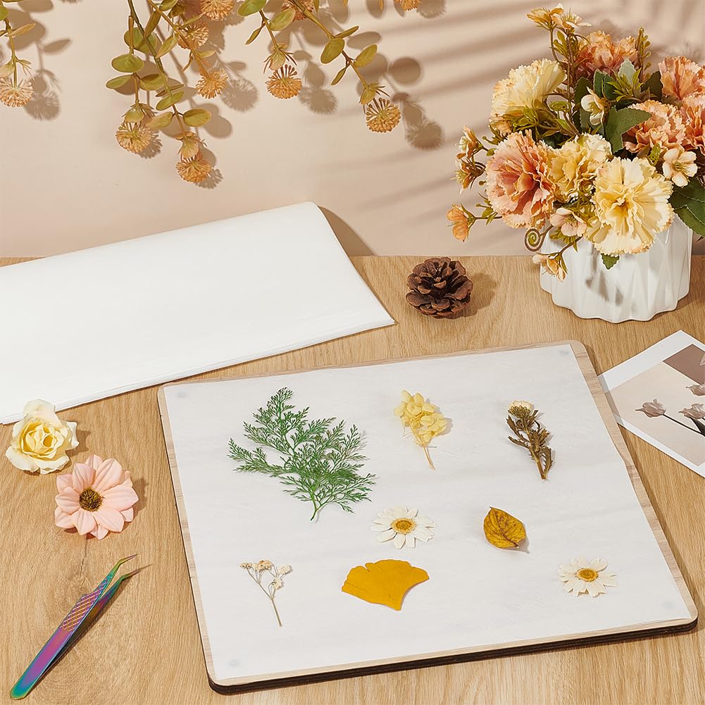 BENECREAT 50 Sheets 10.43x10.43 Inch Blotting Paper for Flower Pressing - Highly Absorbent & Reusable Herbarium Paper for Drying Flowers, Leaves, and Plants - Perfect for DIY Crafts, Scrapbooking, and Botanical Art Projects