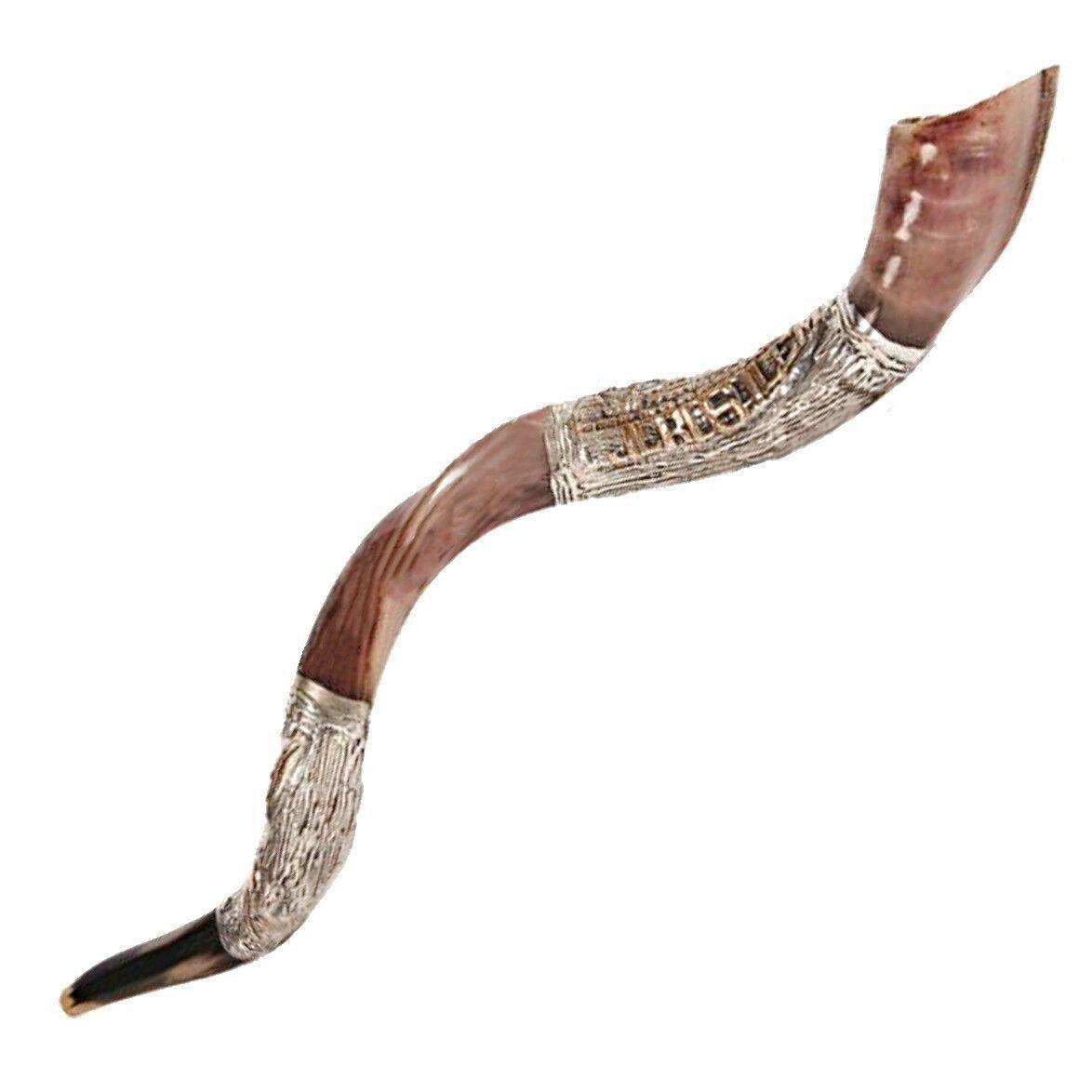 Natural Kosher Yemenite Shofar Kudu Horn - Silver Plated 100-109cm for Jewish Holidays, Religious Ceremonies & Spiritual Gatherings
