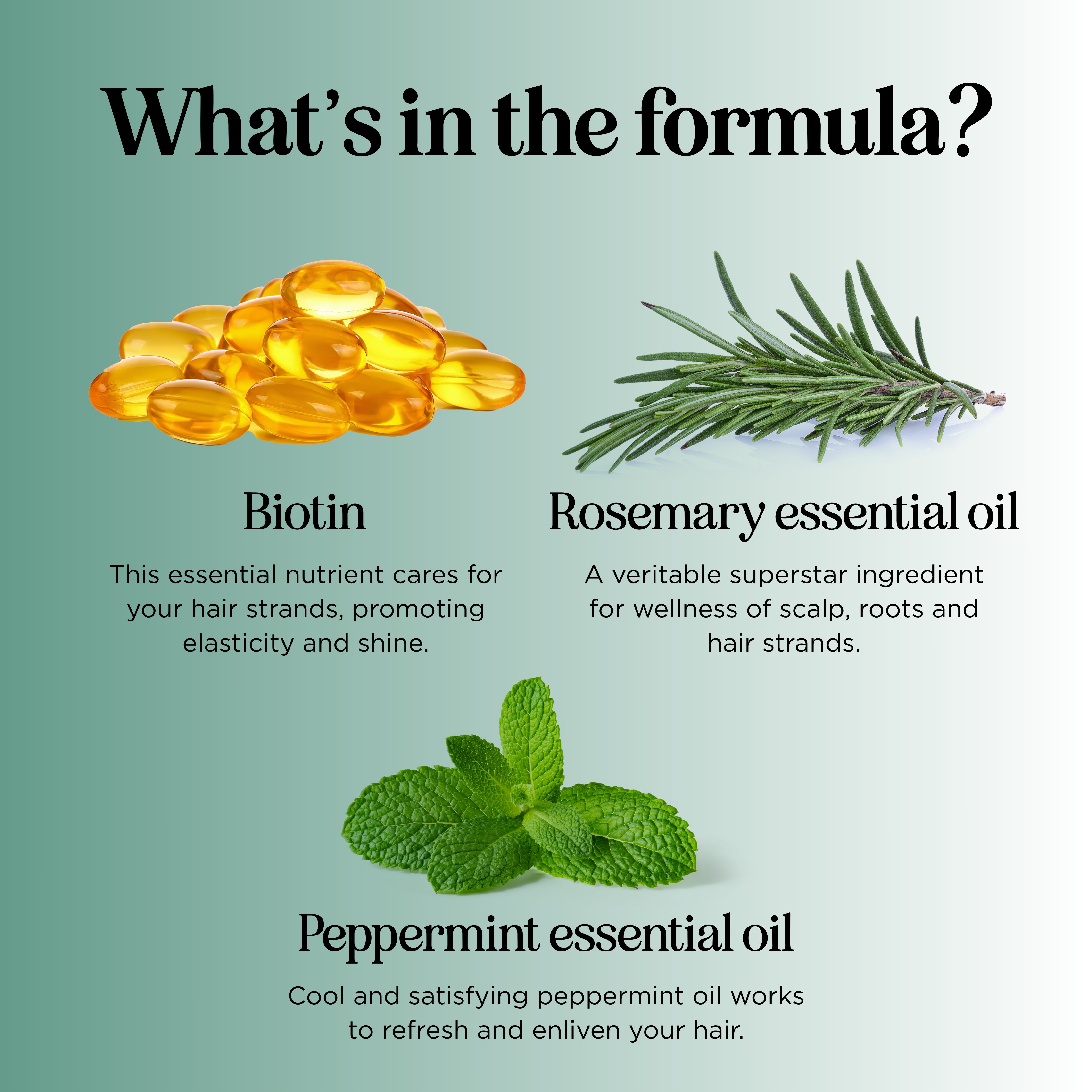 Rosemary Biotin Shampoo for Hair Growth & Thickness - Natural Volumizing Shampoo with Biotin & Rosemary Oil for Stronger, Healthier Hair - Perfect for Daily Hair Care Routine