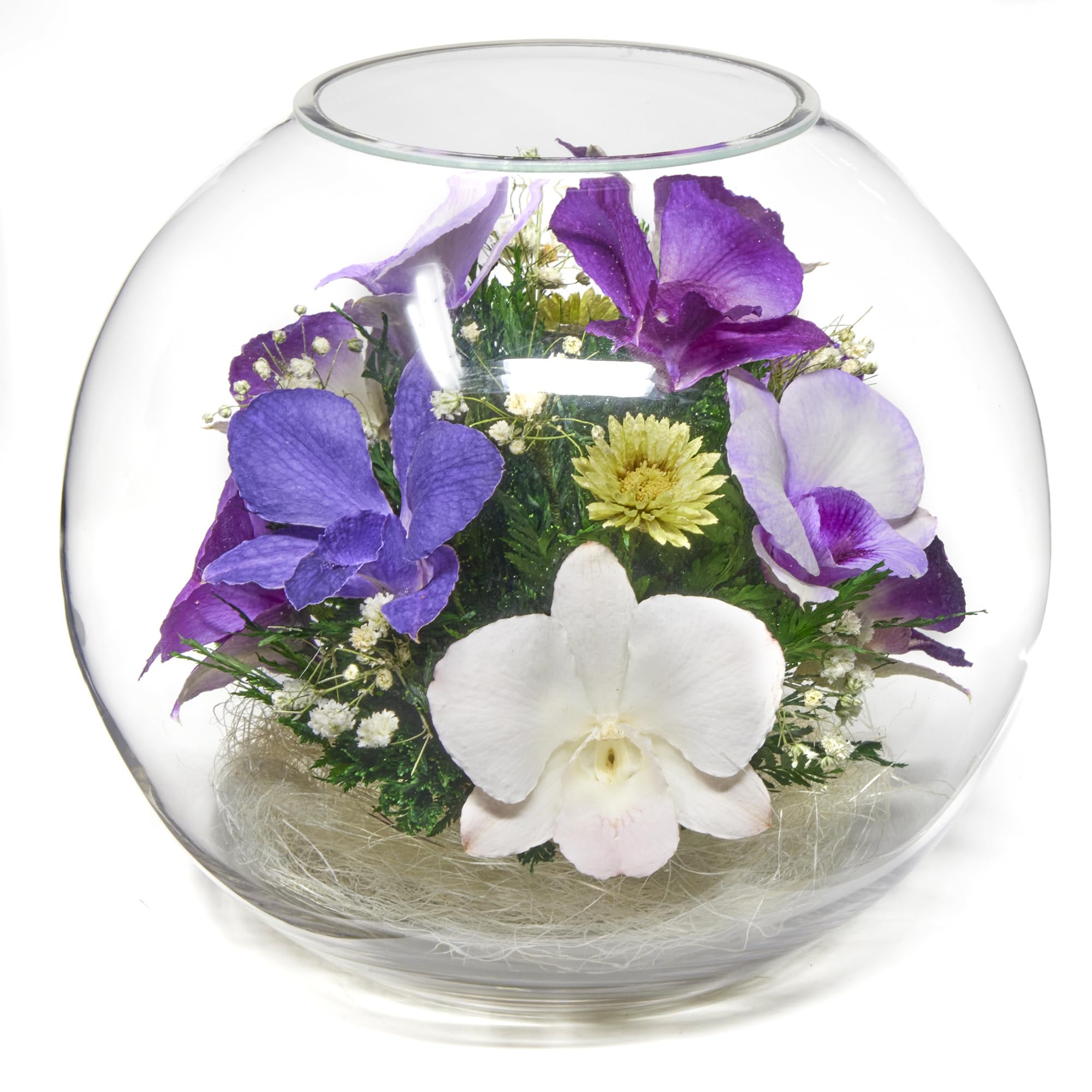 Luxury Preserved Orchid Bouquet in Glass Vase - Long Lasting 5+ Years Fresh Cut Flowers | No Water Needed & Allergy Free | Unique Gift for Women, Mother's Day, Wedding, Home & Office Decoration