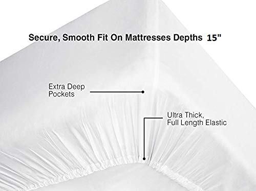 Premium Egyptian Cotton 800 Thread Count Twin XL Fitted Sheet - 15