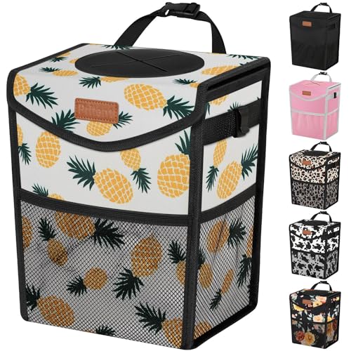 Pineapple Print