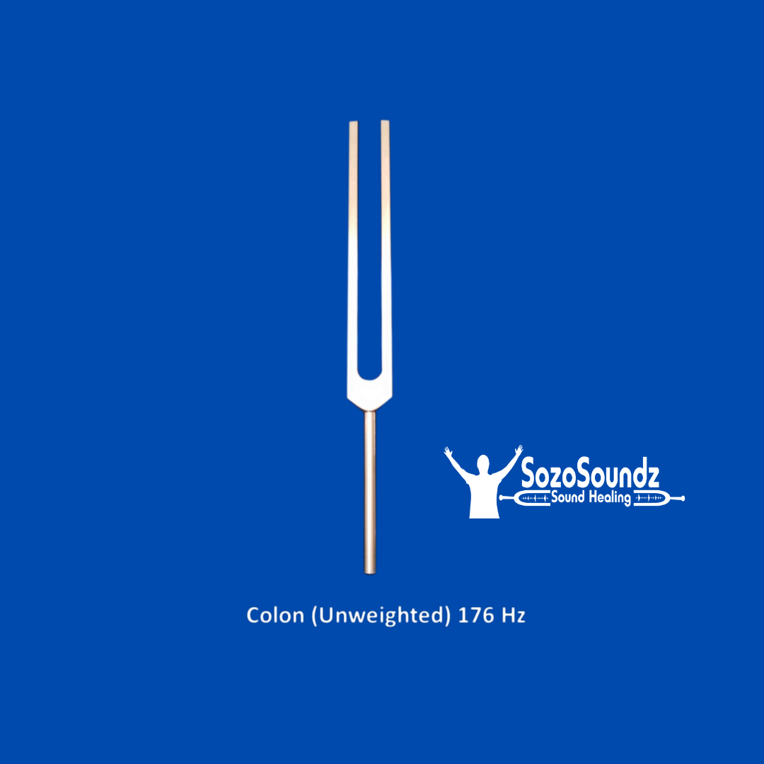 Colon Tuning Fork - Professional Sound Therapy Instrument for Healing & Relaxation | Perfect for Meditation, Energy Balancing & Sound Bath Sessions