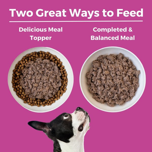 KOHA LID Pork Entrée Canned Dog Food - Grain-Free, Limited Ingredient Diet for Dogs with Sensitive Stomachs - Perfect for Mealtime, Travel & Emergency Pet Food Supply
