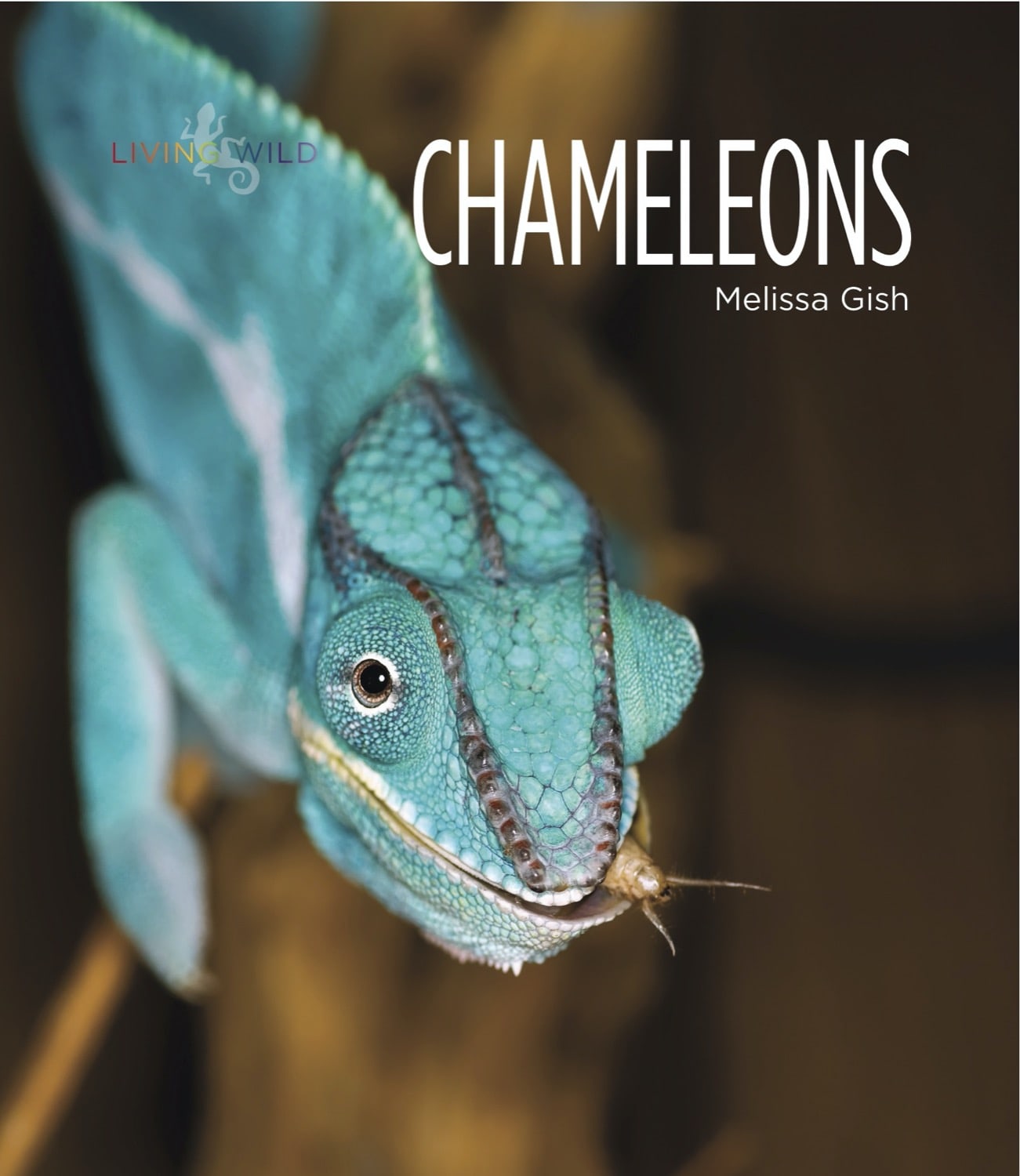 Chameleons Book - ISBN 9781608182855 - Perfect for Reptile Lovers & Science Education