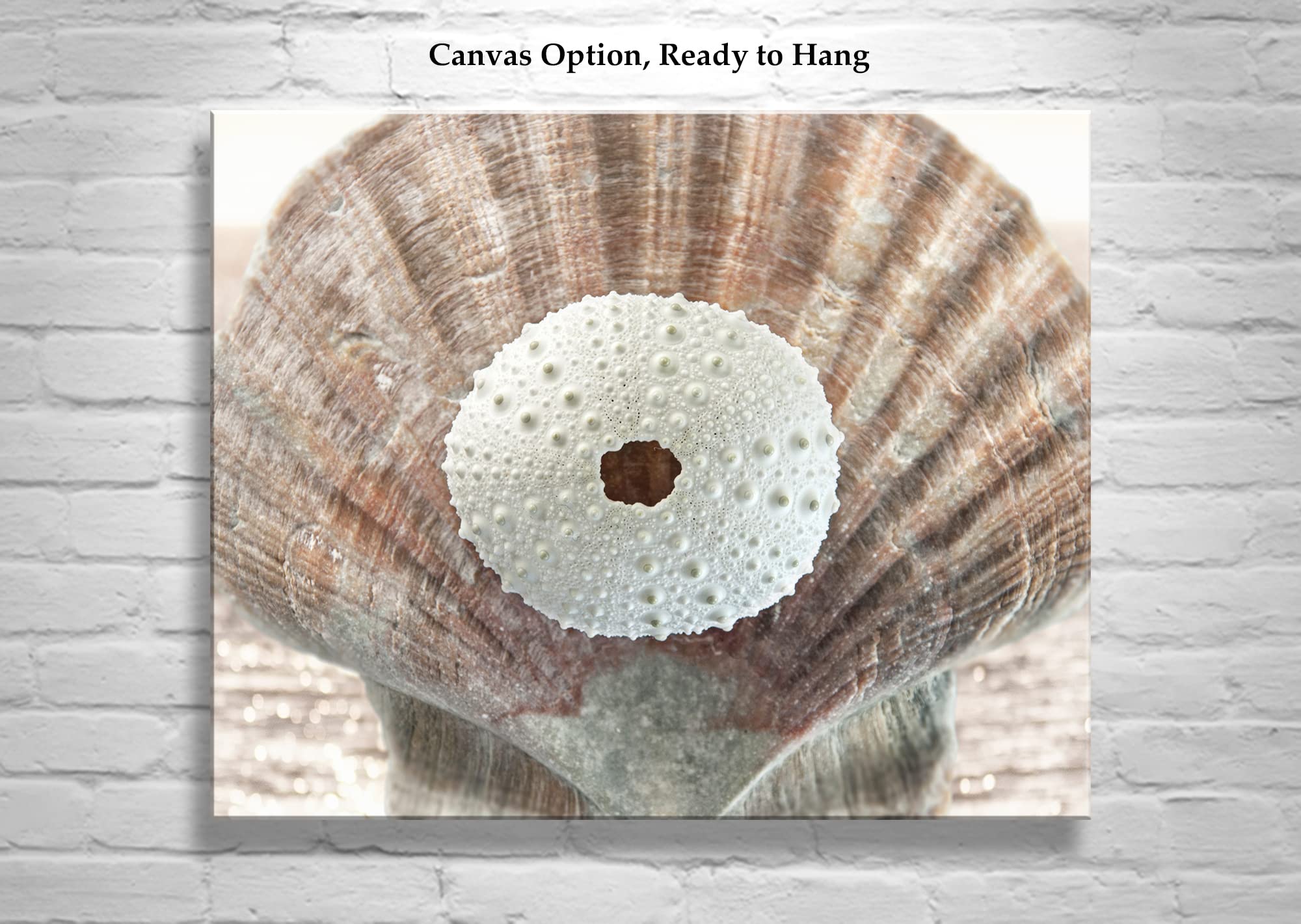 Surreal Seashell Art Print - Ready to Hang Canvas Wall Decor by Murray Bolesta | Perfect for Beach House, Coastal Living Room & Boho Bedroom Decor