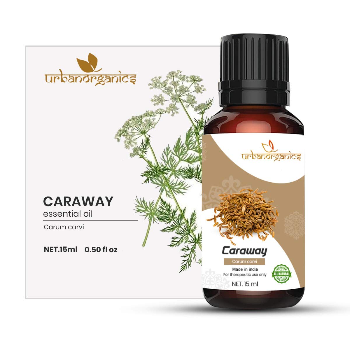 Pure Caraway Essential Oil - 100% Natural & Undiluted for Anti-Inflammation, Skin & Hair Care - Soothes Dandruff & Scalp Irritation - Perfect for Aromatherapy, Massage & DIY Beauty Products