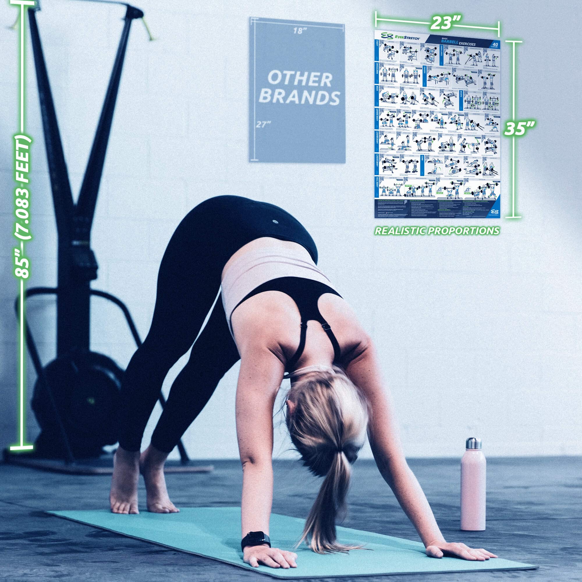 EverStretch Premium Laminated Barbell Workout Poster 23