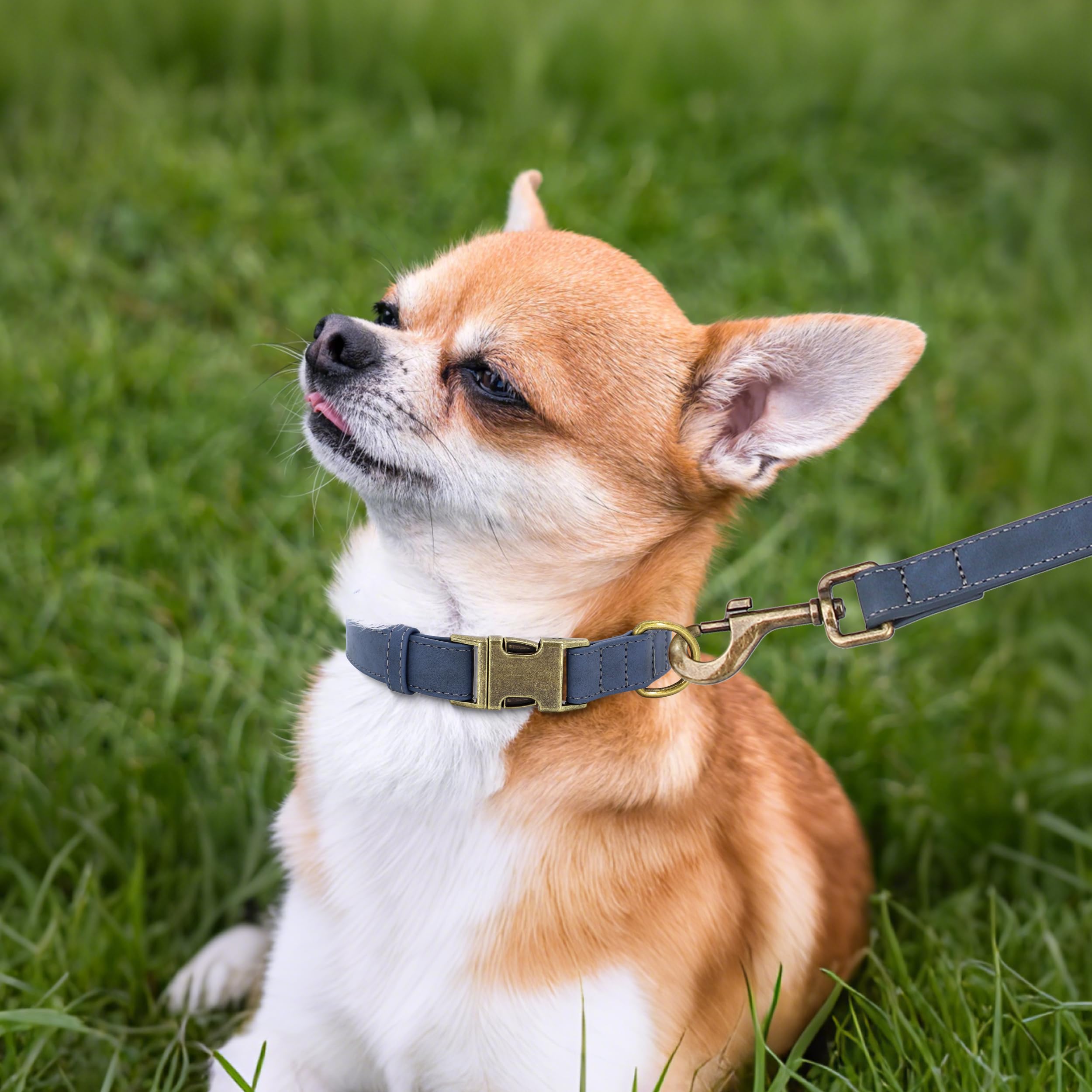 Premium Soft Faux Leather Dog Collar - Heavy Duty Adjustable Pet Collar with Quick Release Metal Buckle for Small Dogs (Blue, Size S) | Perfect for Daily Walks, Training & Outdoor Adventures
