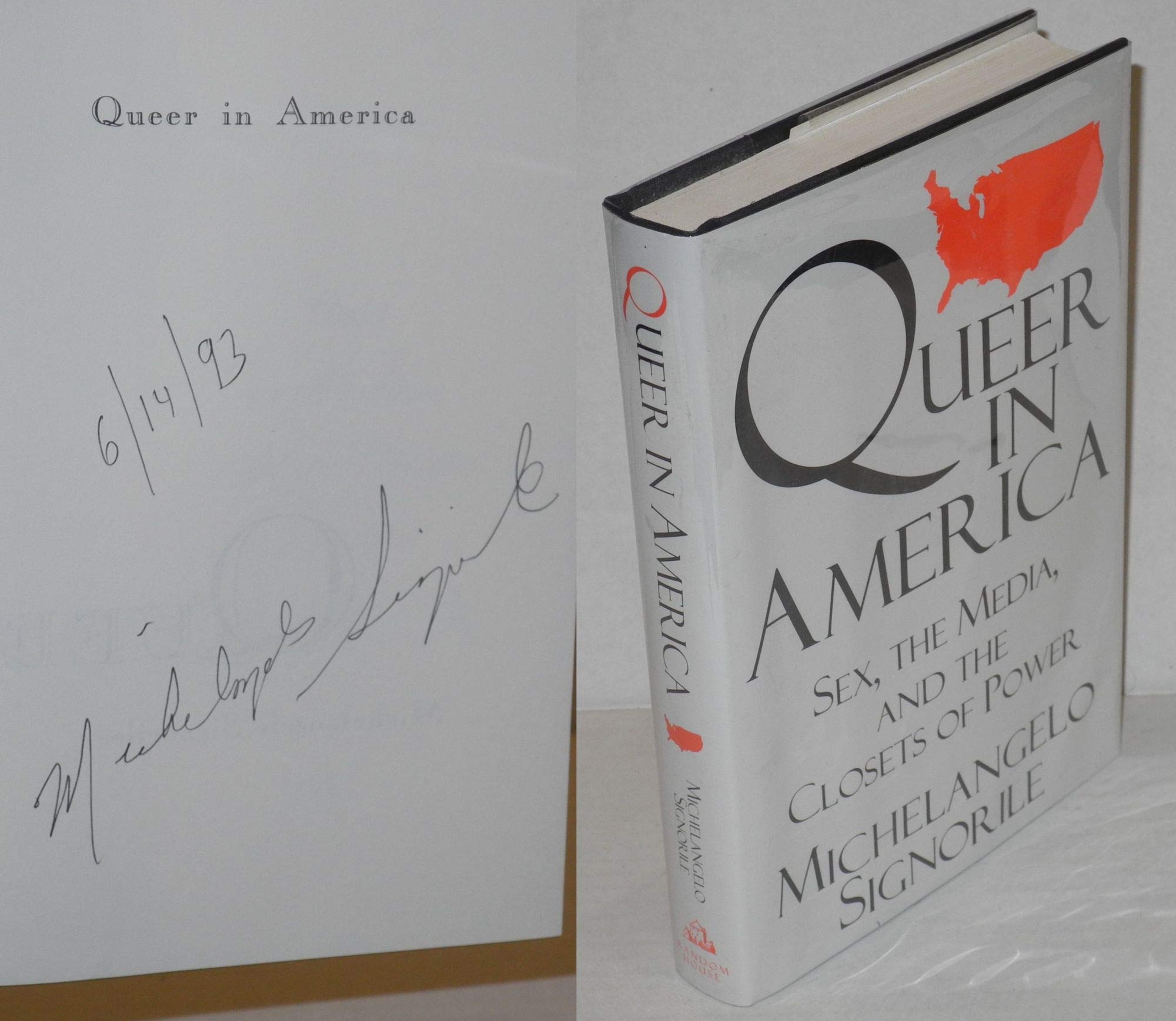 Queer in America: Exploring Sexuality, Media Influence & Power Dynamics - LGBTQ+ History & Social Analysis for Book Clubs & Academic Studies