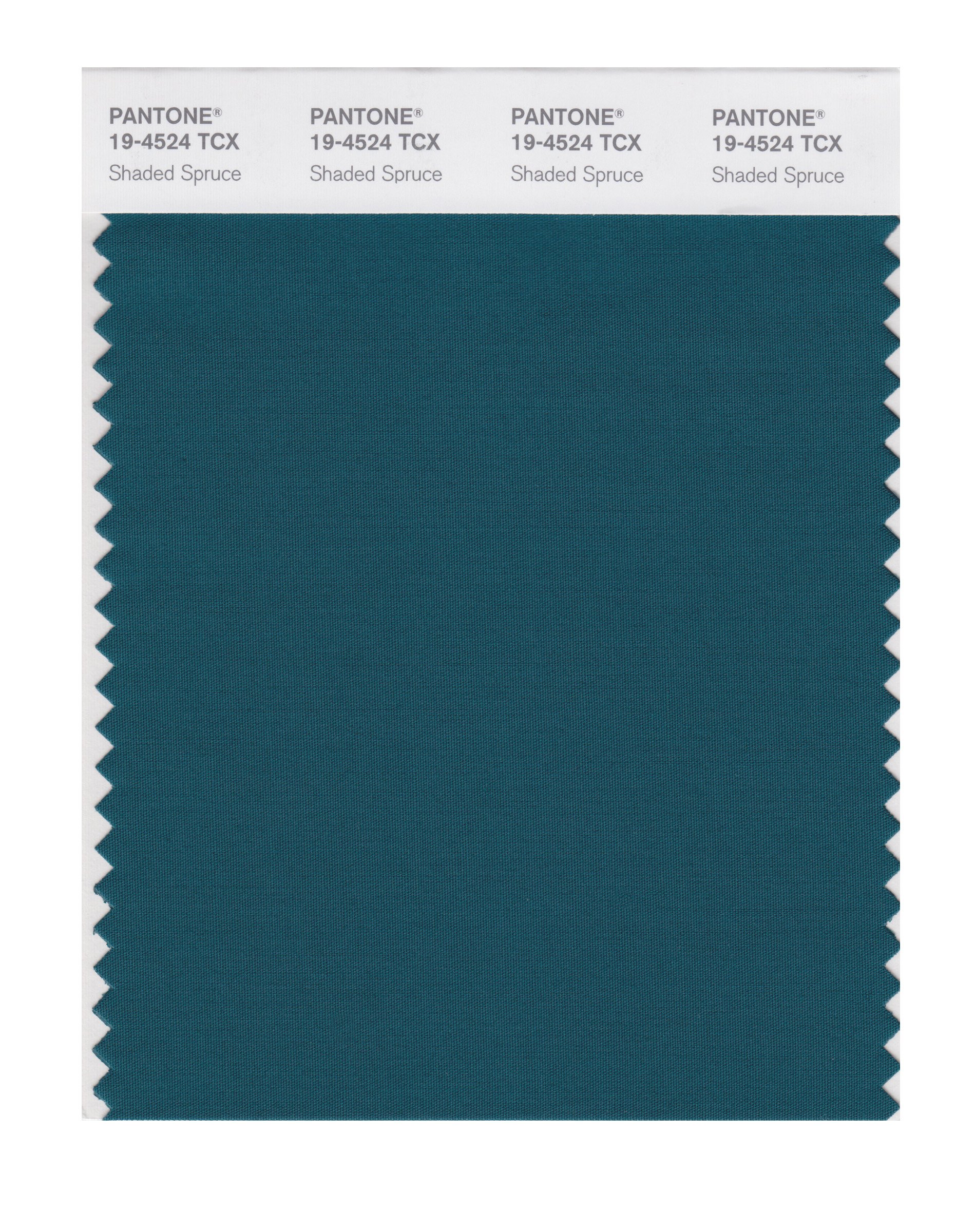 PANTONE Smart 19-4524X Shaded Spruce Color Swatch Card - Premium Color Matching Tool for Graphic Design, Fashion & Home Decor