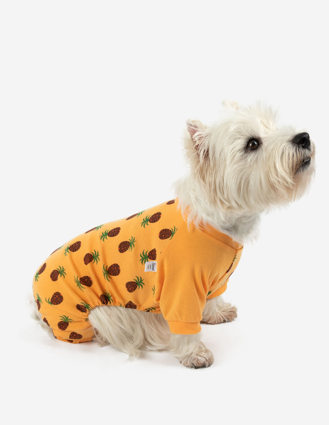 Dog Pineapple Pajamas - Cute & Comfortable Pet Sleepwear for Small Medium Large Dogs - Perfect for Bedtime, Lounging & Photo Shoots
