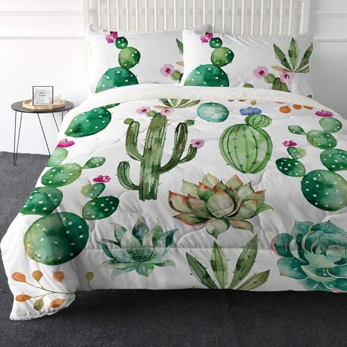Green Cactus Plant