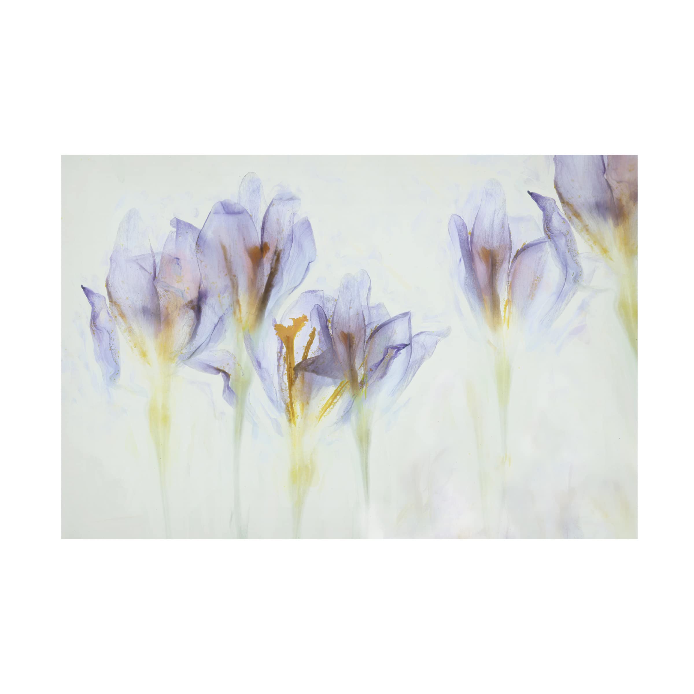 Trademark Fine Art 'Spring' Canvas Wall Art by Nel Talen - Vibrant Floral Painting for Living Room, Bedroom & Office Decor