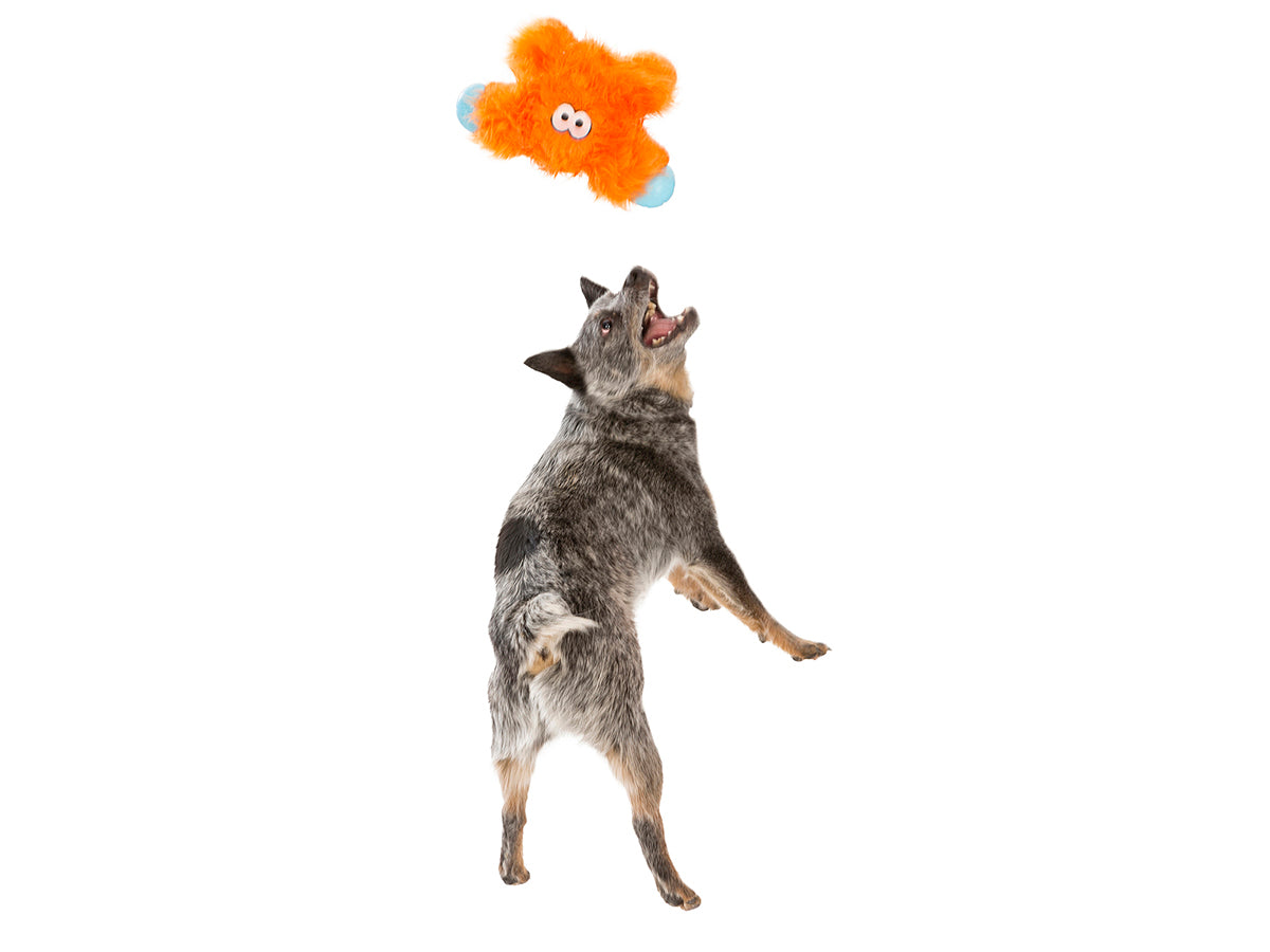 West Paw Design Fergus Dog Toy - Durable Chew Toy for Aggressive Chewers, Interactive Fetch & Tug-of-War Play - Perfect for Large & Medium Dogs - Indoor & Outdoor Use