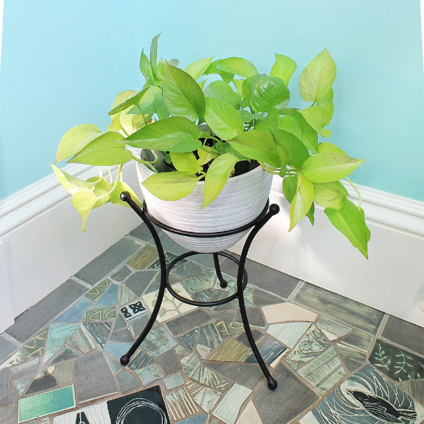 Achla Designs Multi-Purpose Stand for GBS 20 & GBS 21 - Perfect for Office, Home, and Studio Use