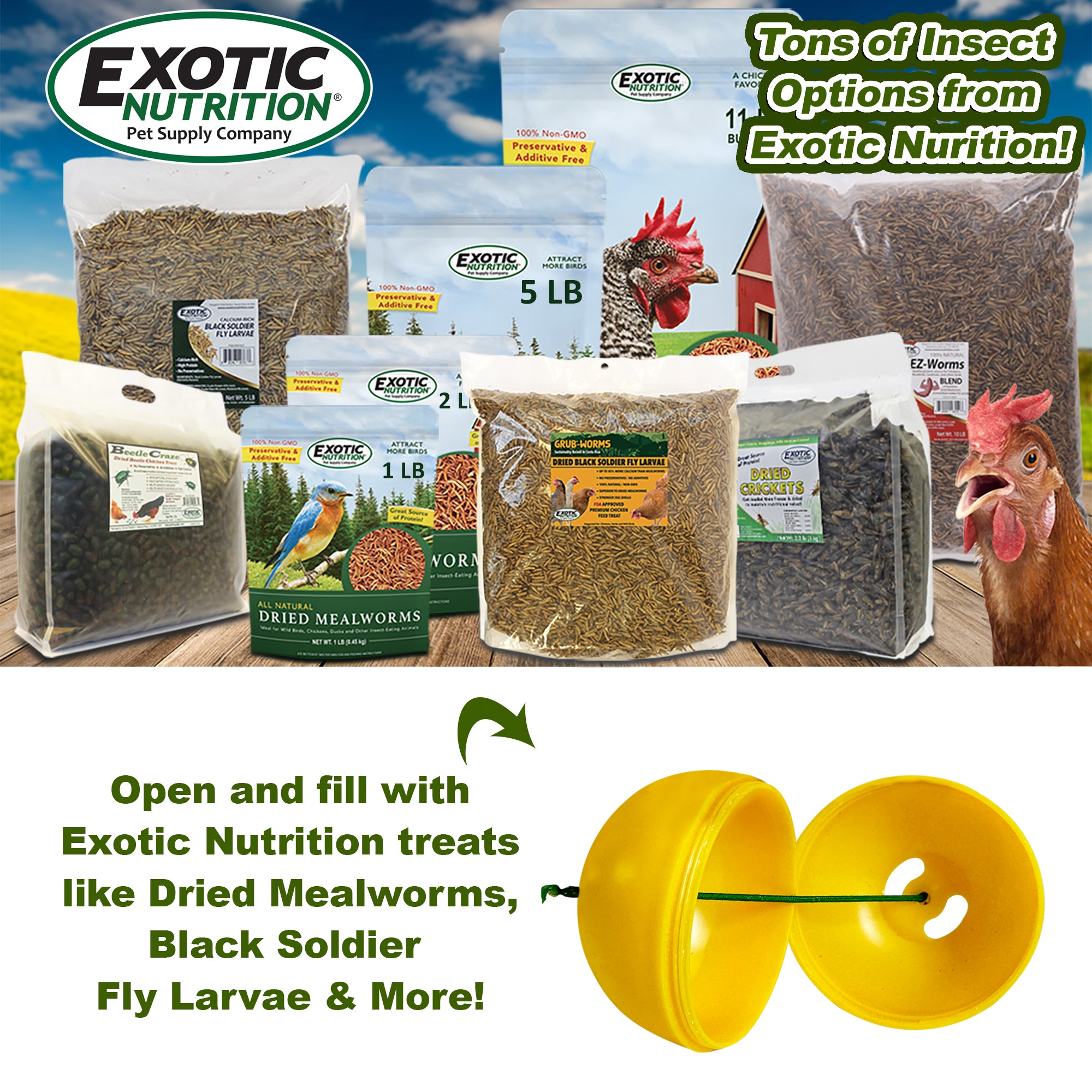 Best Chicken Treat Dispenser for Training & Enrichment - Automatic Pet Reward Feeder for Hens, Ducks & Birds - Perfect for Backyard Coops & Poultry Farms