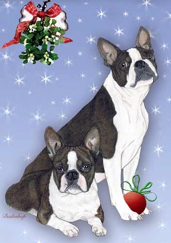 Boston Terrier Christmas Cards - Pack of 10 Festive Holiday Greeting Cards with White Envelopes | Perfect for Pet Lovers, Christmas Wishes & Seasonal Greetings