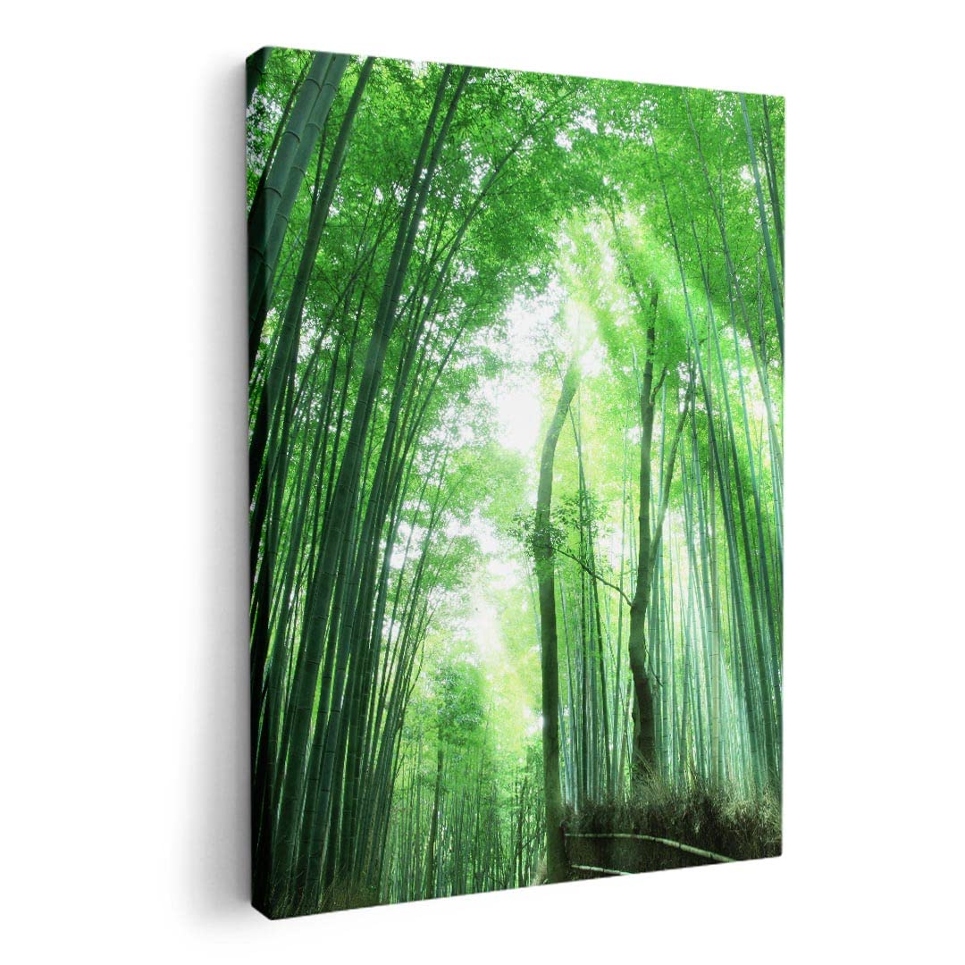 Premium 23x33 Inch Bamboo Forest Wall Art Canvas Print - Nature-Inspired Home Decor for Living Room, Bedroom & Office | IGSticker Art Panel Wall Decal
