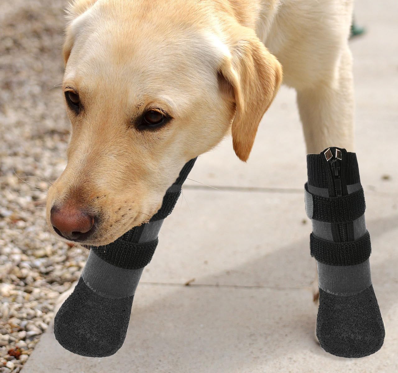 Waterproof Anti-Slip Dog Boots with Zipper - Paw Protector Shoes for Small Medium Large Dogs - Indoor Outdoor Pet Booties for Hardwood Floors & Snow (Grey) | Perfect for Winter Walks, Hiking & Home Protection