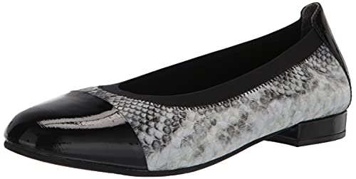 Black Snake Print