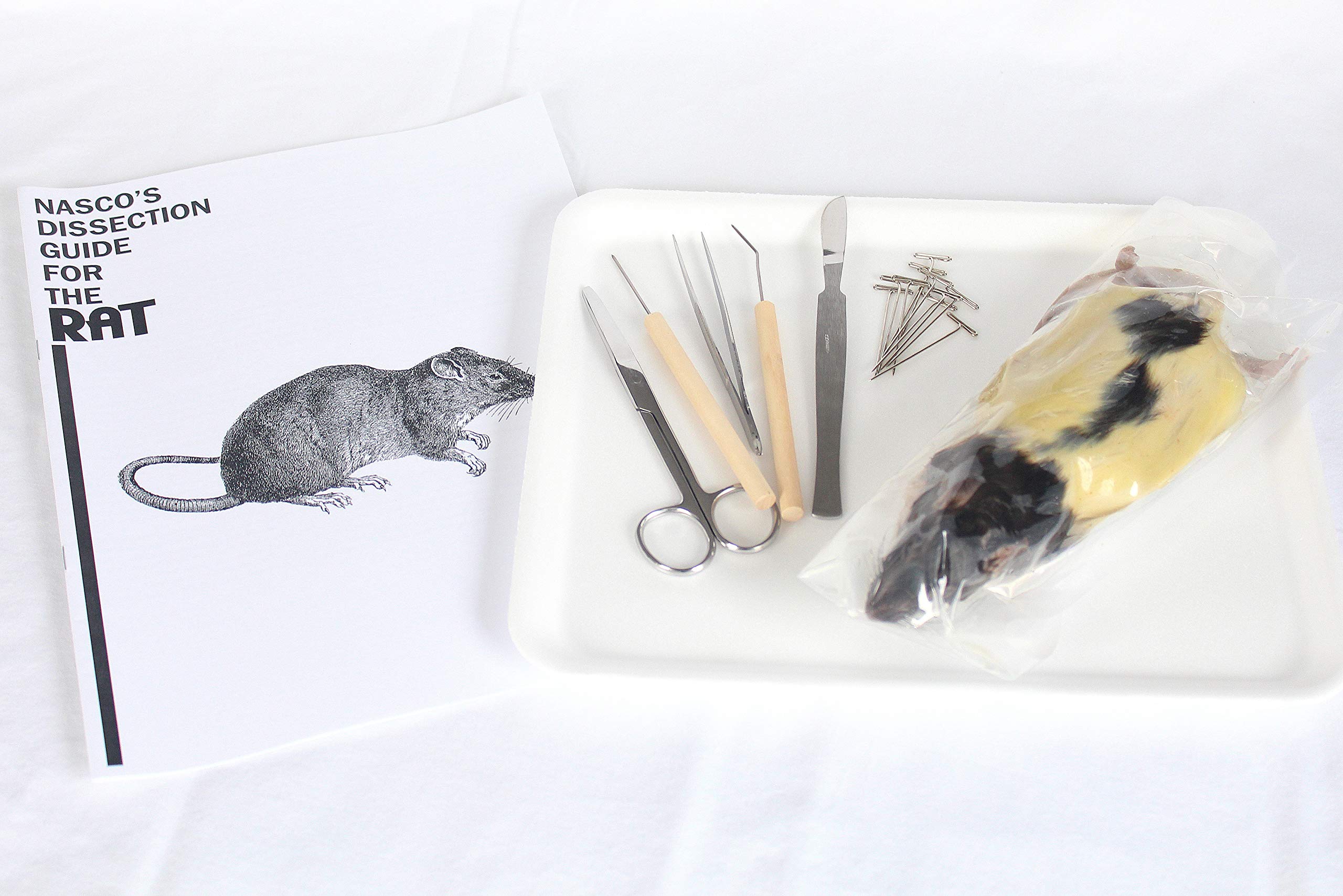 Premium Rat Dissection Kit for Biology Students - Complete Anatomy Lab Set with Scalpel, Pins & Guide - Perfect for High School & College Science Classes