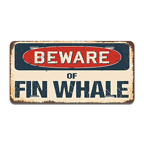 Beware of Fin Whale