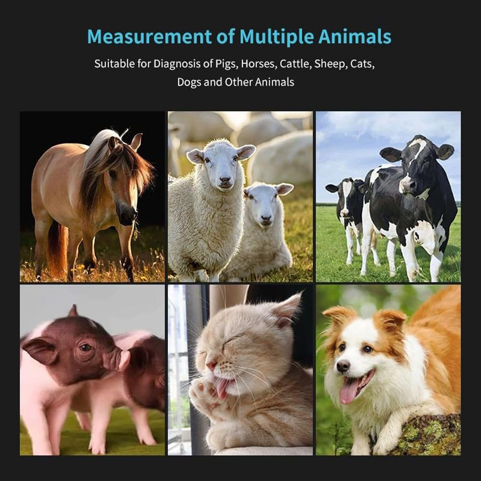 Portable Veterinary Ultrasound Scanner for Pigs, Sheep, and Livestock - Pregnancy Testing Machine for Farm Animals | Ideal for Veterinary Clinics, Farms, and Animal Breeding