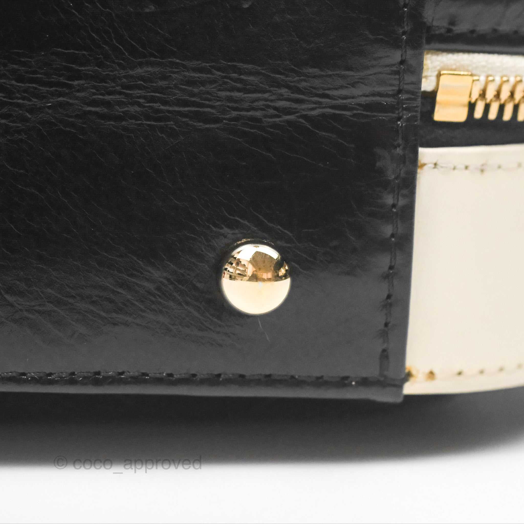 Chanel Camera Case Bag in Black & White Calfskin with Gold Hardware - Perfect for Everyday Luxury & Travel Accessories