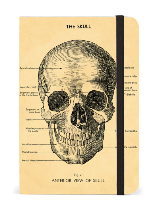 Cavallini & Co. Small Notebook with Skull Design - Stylish Pocket Journal for Note Taking, Sketching & Travel - Perfect Gift for Writers, Artists & Students
