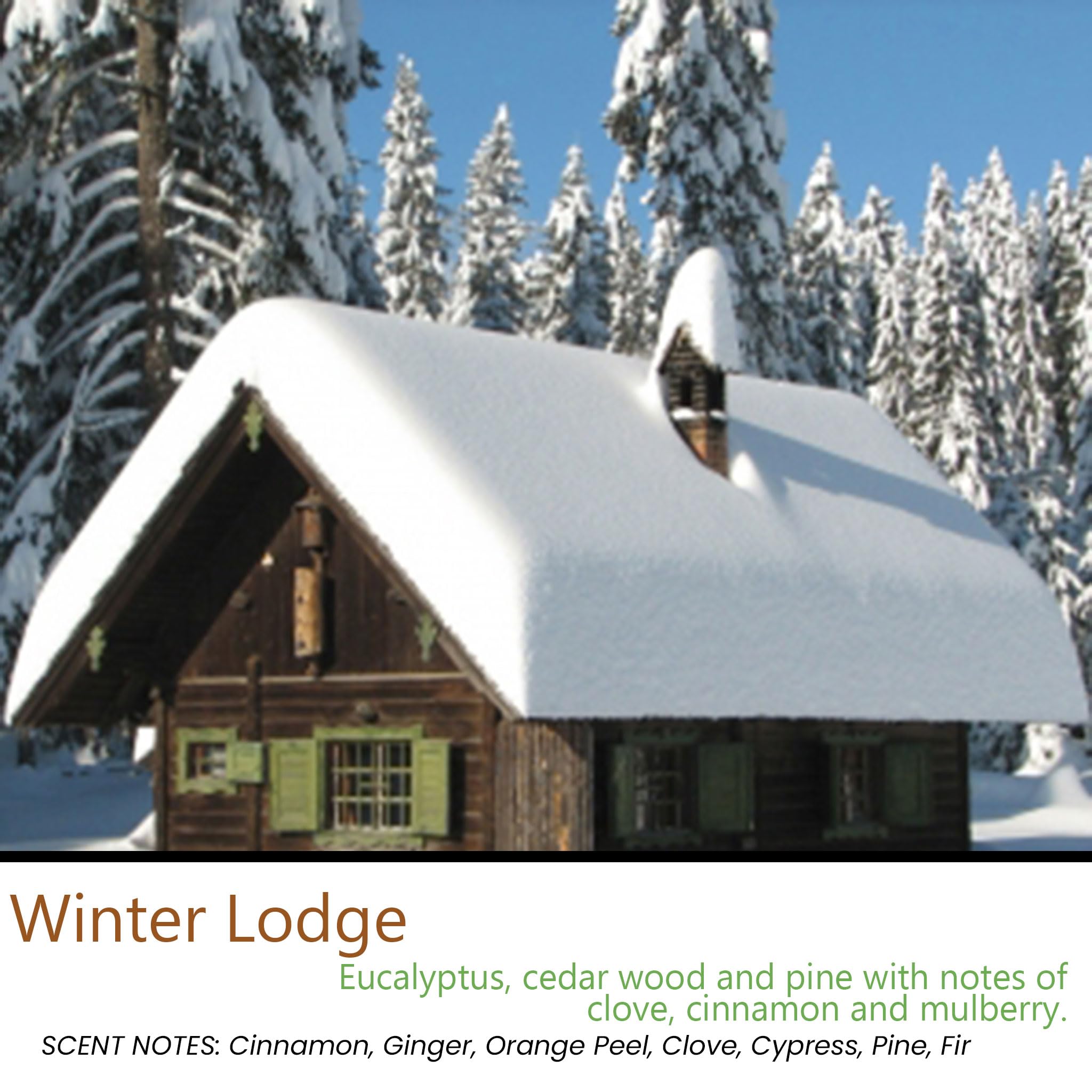 Winter Lodge Scented Tealight Candles - 12 Pack Soy Beeswax Blend Handmade in USA - Holiday Christmas Aromatherapy Candles for Home Decor, Relaxation & Gift Giving