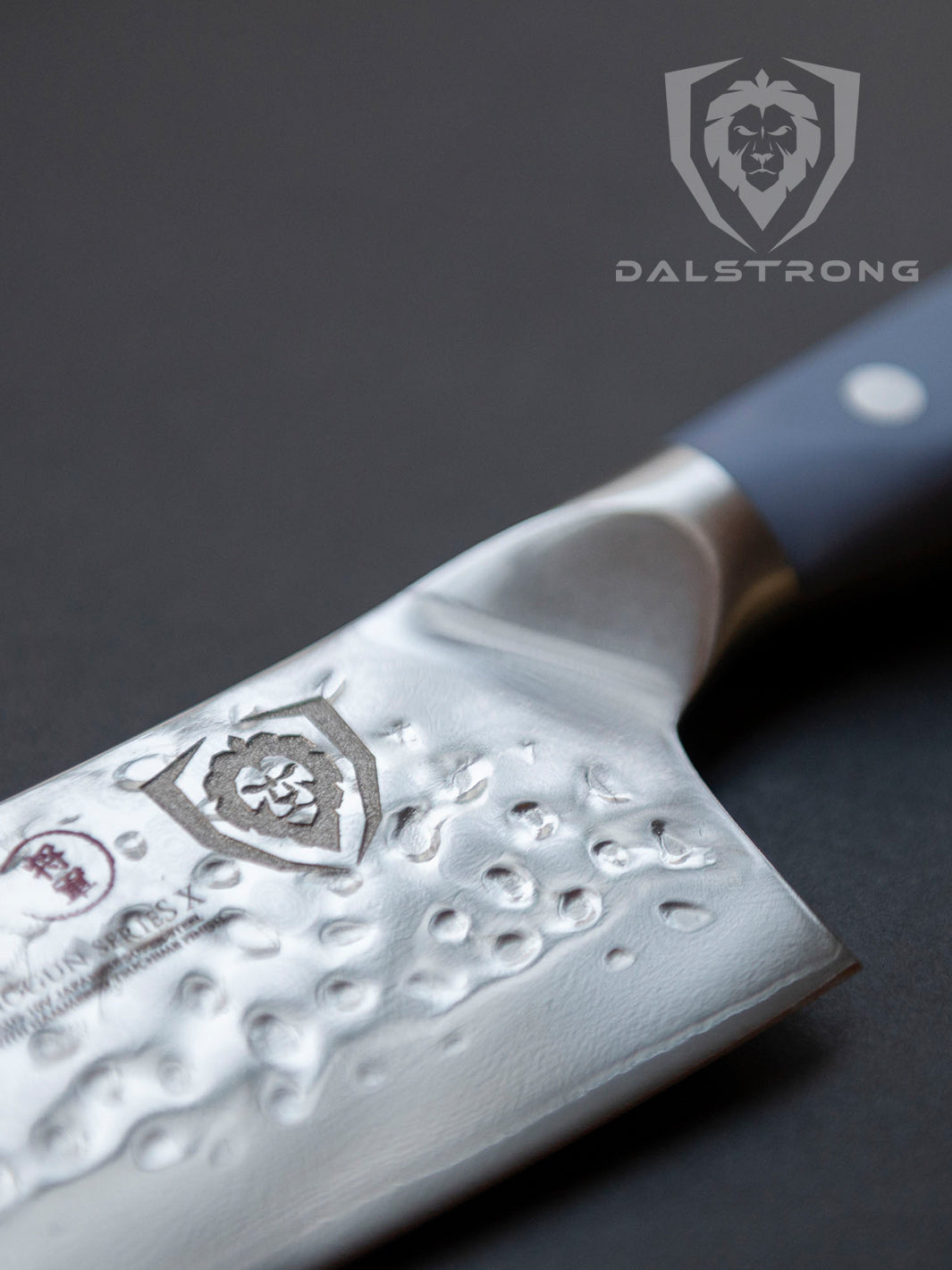 Dalstrong Shogun Series X 8
