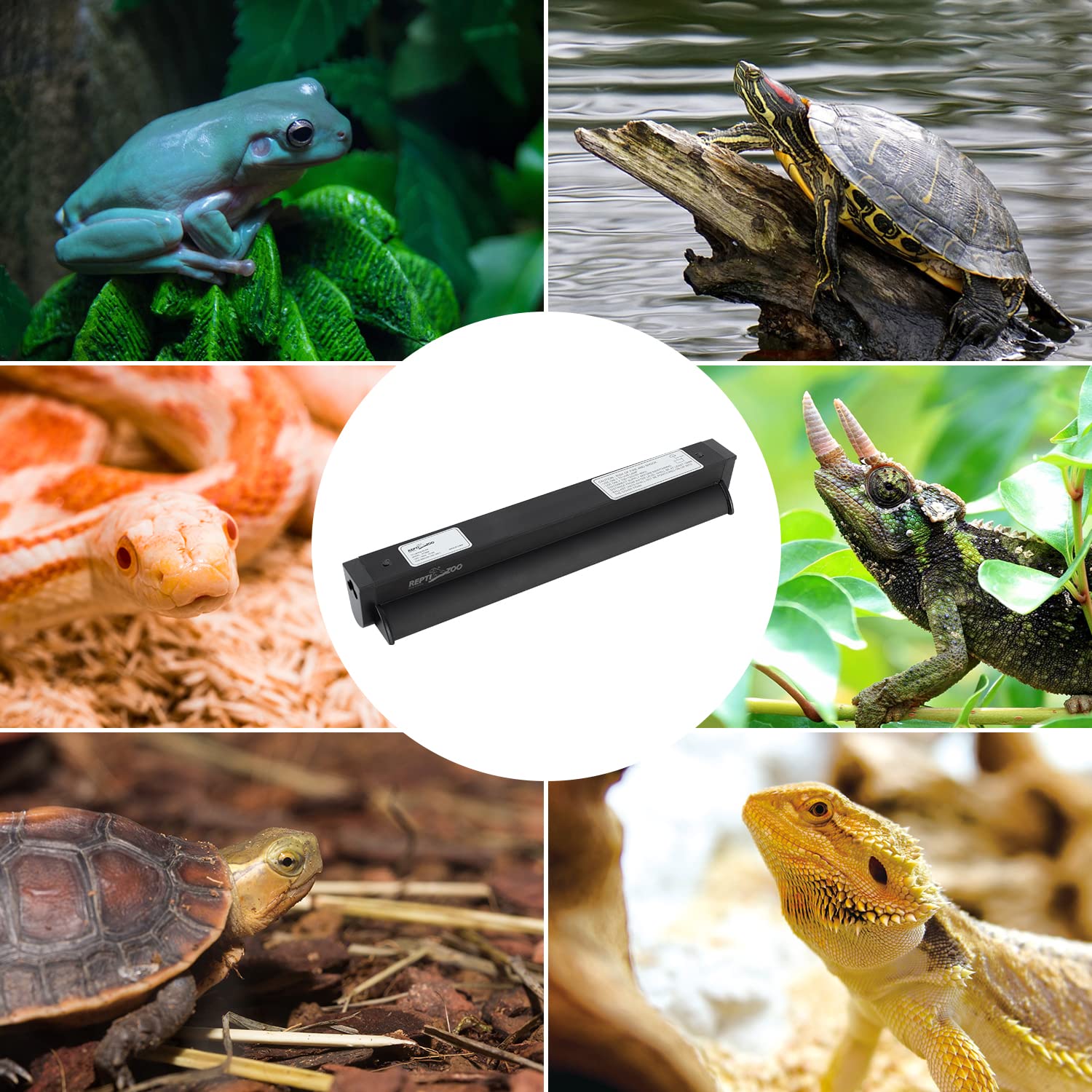 REPTI ZOO T5 HO UVB Lighting Combo Kit with Timer - Reptile Light Fixture Terrarium Hood with Desert 10.0 UVB T5 Bulb (8W) for Bearded Dragons, Turtles & Lizards - Perfect for Desert Reptile Habitats & Terrariums